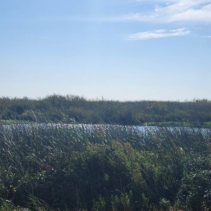 Waterfront Property in Sacramento County, California