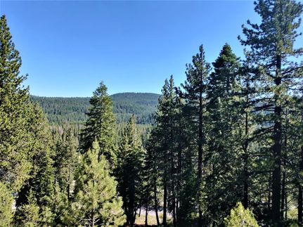 Homesite in Nevada County, California