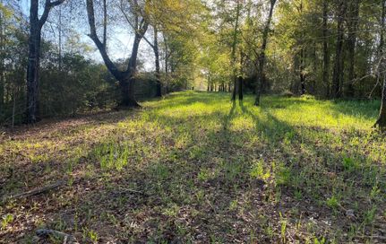 Recreational Property in Coffee County, Alabama