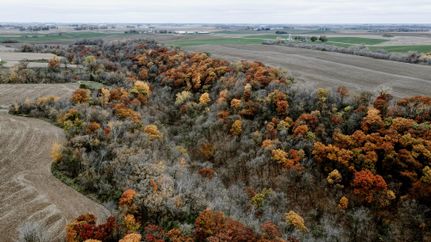 Farm and Ranch in Goodhue County, Minnesota