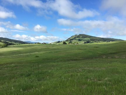 Undeveloped Land in Okanogan County, Washington