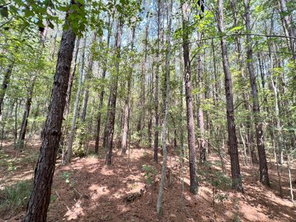 Recreational Property in Perry County, Mississippi