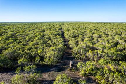 Land in Atascosa County, Texas