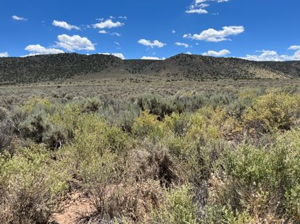 Undeveloped Land in Costilla County, Colorado