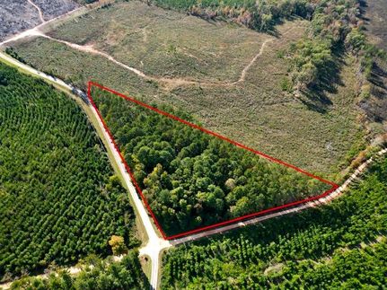 Undeveloped Land in Taliaferro County, Georgia