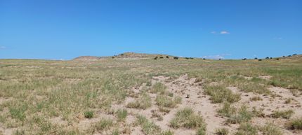 Undeveloped Land in Apache County, Arizona
