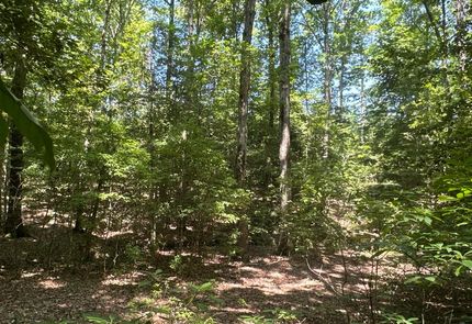 Farm and Ranch in Ouachita County, Arkansas