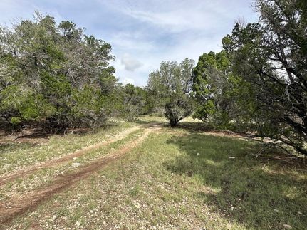 Land in Crockett County, Texas