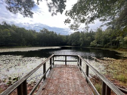 Oceanfront Property in Harnett County, North Carolina