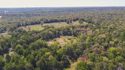 Undeveloped Land in Milam County, Texas