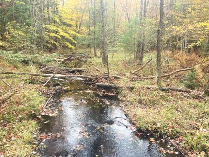 Recreational Property in Warren County, New York
