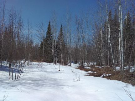 Land in Alger County, Michigan