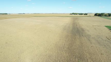 Farm and Ranch in Lyon County, Iowa