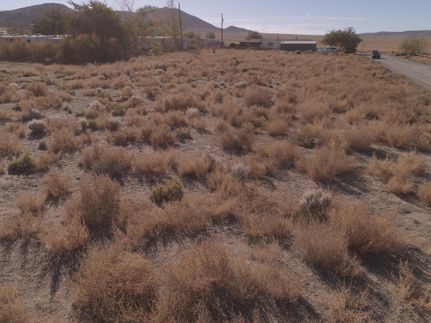 Farm and Ranch in Lyon County, Nevada