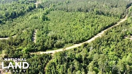 Recreational Property in Clarke County, Alabama