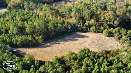 Commercial Property in Fayette County, Alabama