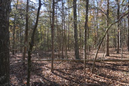 Farm and Ranch in York County, South Carolina