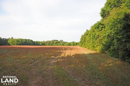 Farm and Ranch in Marlboro County, South Carolina