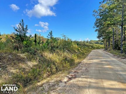 Land in Chesterfield County, South Carolina