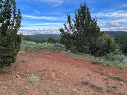 Undeveloped Land in Modoc County, California