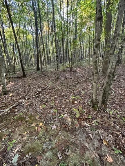Land for sale in Fentress County, Tennessee