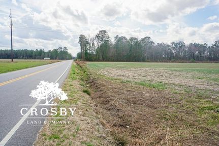 Farm and Ranch in Darlington County, South Carolina