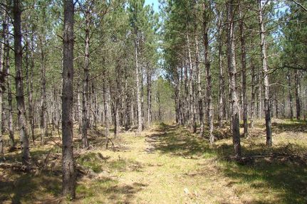Farm and Ranch in Juneau County, Wisconsin
