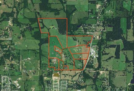 Undeveloped Land in Titus County, Texas