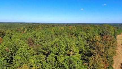 Undeveloped Land in Dallas County, Alabama