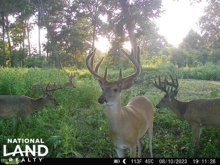 Waterfront Property in Warren County, Mississippi