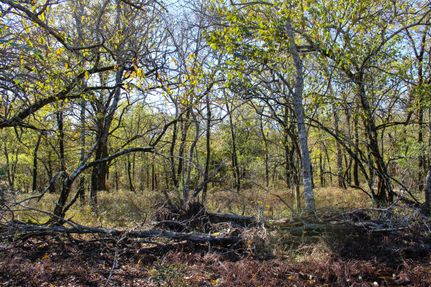 Undeveloped Land in Atoka County, Oklahoma
