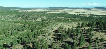 Undeveloped Land in Modoc County, California