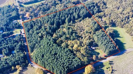 Timberland Property in Benton County, Oregon