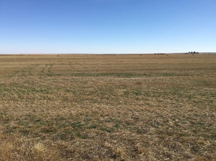 Land for sale in Weld County, Colorado