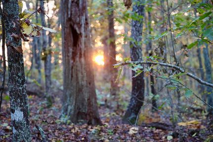 Recreational Property in Le Flore County, Oklahoma