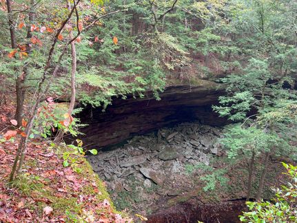 Undeveloped Land in Winston County, Alabama
