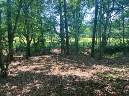 Undeveloped Land in Greenville County, South Carolina