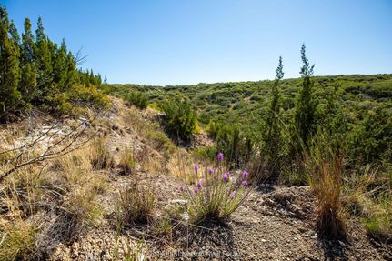Recreational Property in Stonewall County, Texas