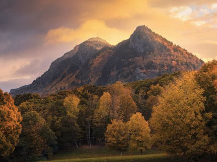 Undeveloped Land in Boone County, Arkansas