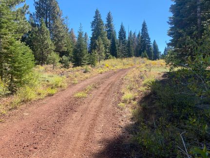 Undeveloped Land in Modoc County, California