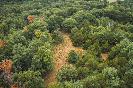 Timberland Property in Dent County, Missouri