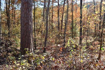 Land in Le Flore County, Oklahoma