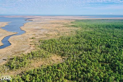 Timberland Property in Carteret County, North Carolina