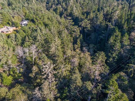 Undeveloped Land in Mendocino County, California