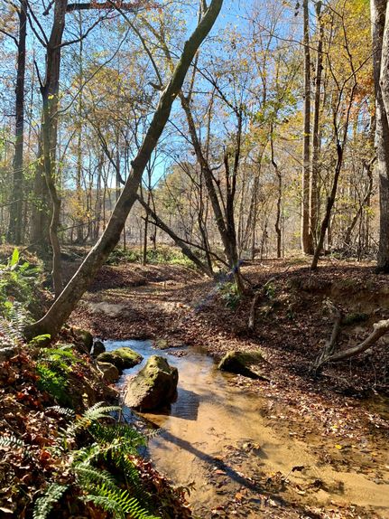 Farm and Ranch in Oglethorpe County, Georgia