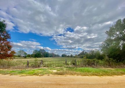 Undeveloped Land in Houston County, Texas
