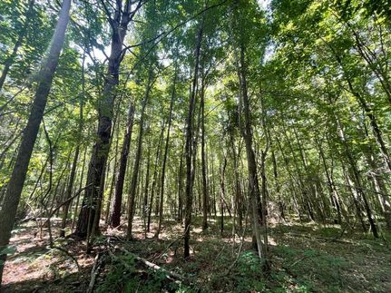 Recreational Property in Elmore County, Alabama