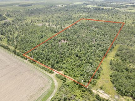 Timberland Property in Calhoun County, Florida
