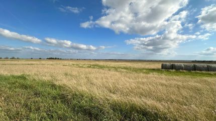 Undeveloped Land in Milam County, Texas