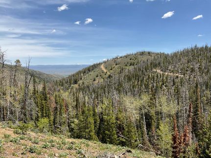 Undeveloped Land in Carbon County, Wyoming